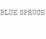 Blue Spruce