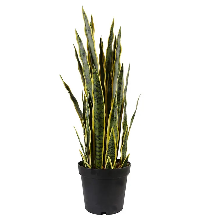 Штучна рослина Sansevieria 92 см. DW-12 Штучна рослина Sansevieria 92 см. DW-12