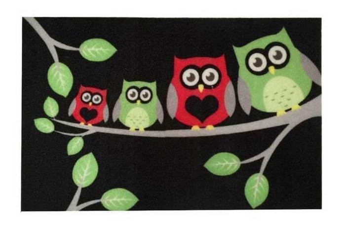 Коврик придверный IzziHome magic 40х60 Baykus Ailesi