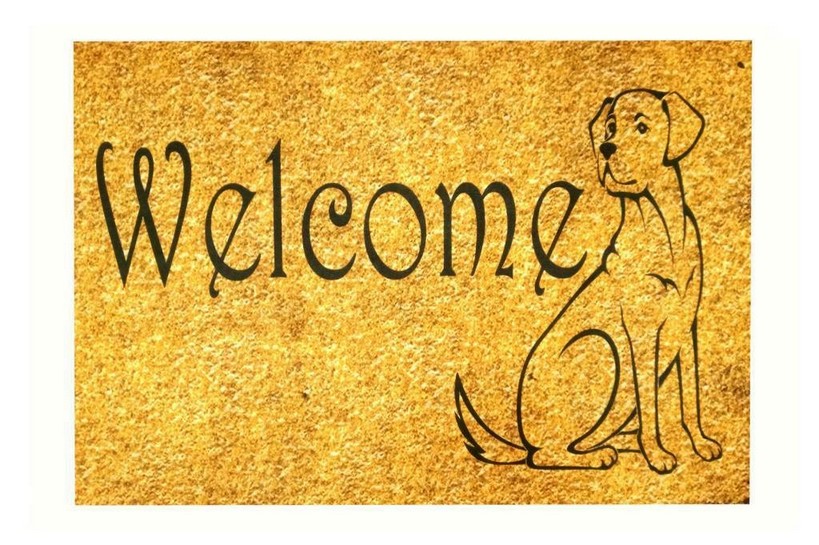 Коврик придверный Izzi Home PEPPINA KAPI WELCOME DOG 40x60 Коврик придверный Izzi Home PEPPINA KAPI WELCOME DOG 40x60