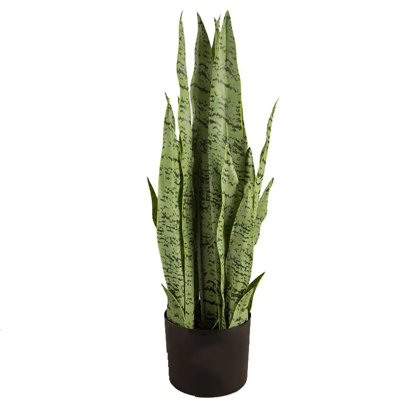 Штучна рослина Sansevieria 65 см. DW-11 Штучна рослина Sansevieria 65 см. DW-11