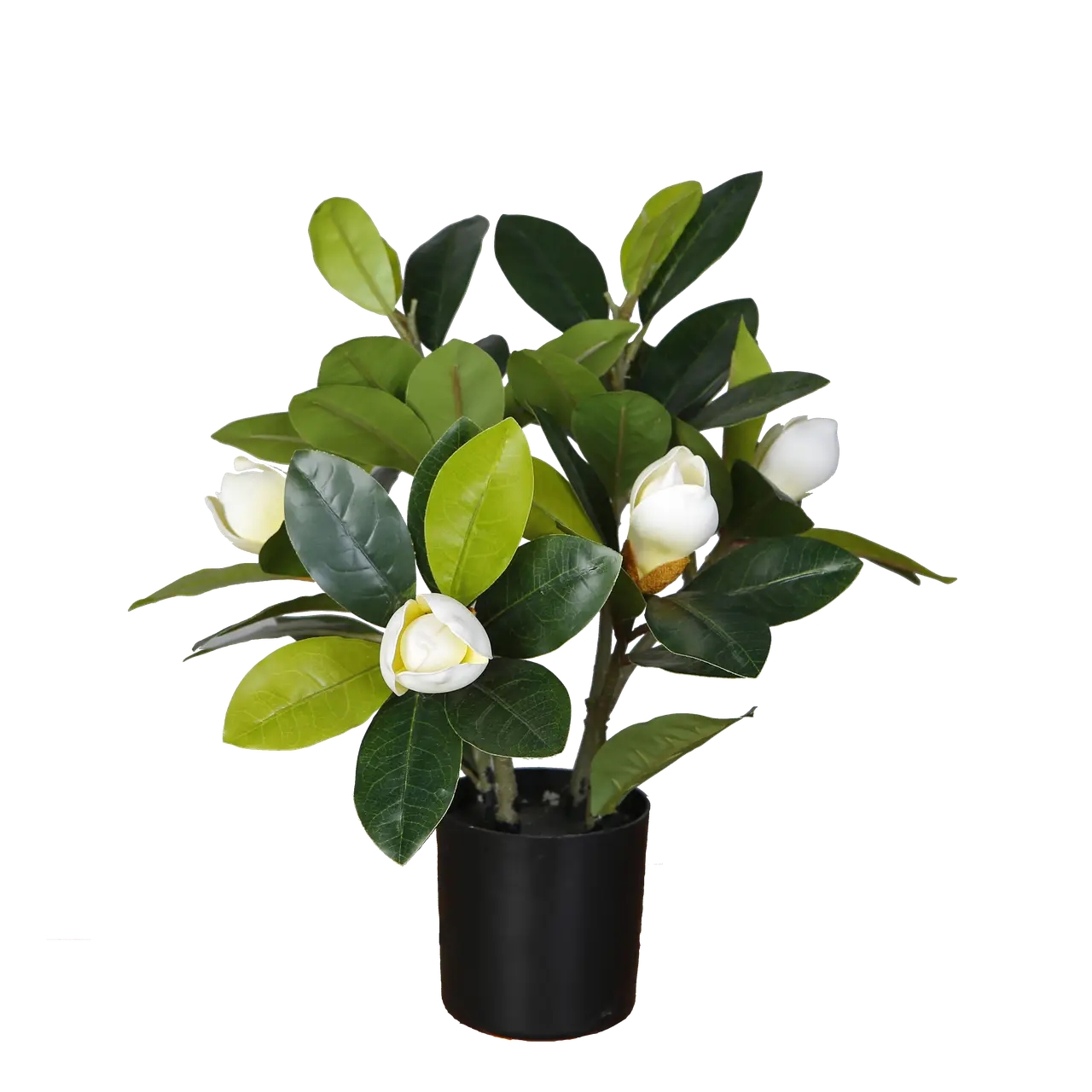 Штучна рослина Magnolia 40 см Штучна рослина Magnolia 40 см