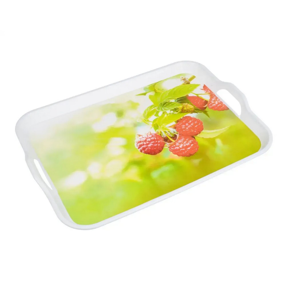 Піднос Orlean NRP50Tray-72-189 Lora Піднос Orlean NRP50Tray-72-189 Lora