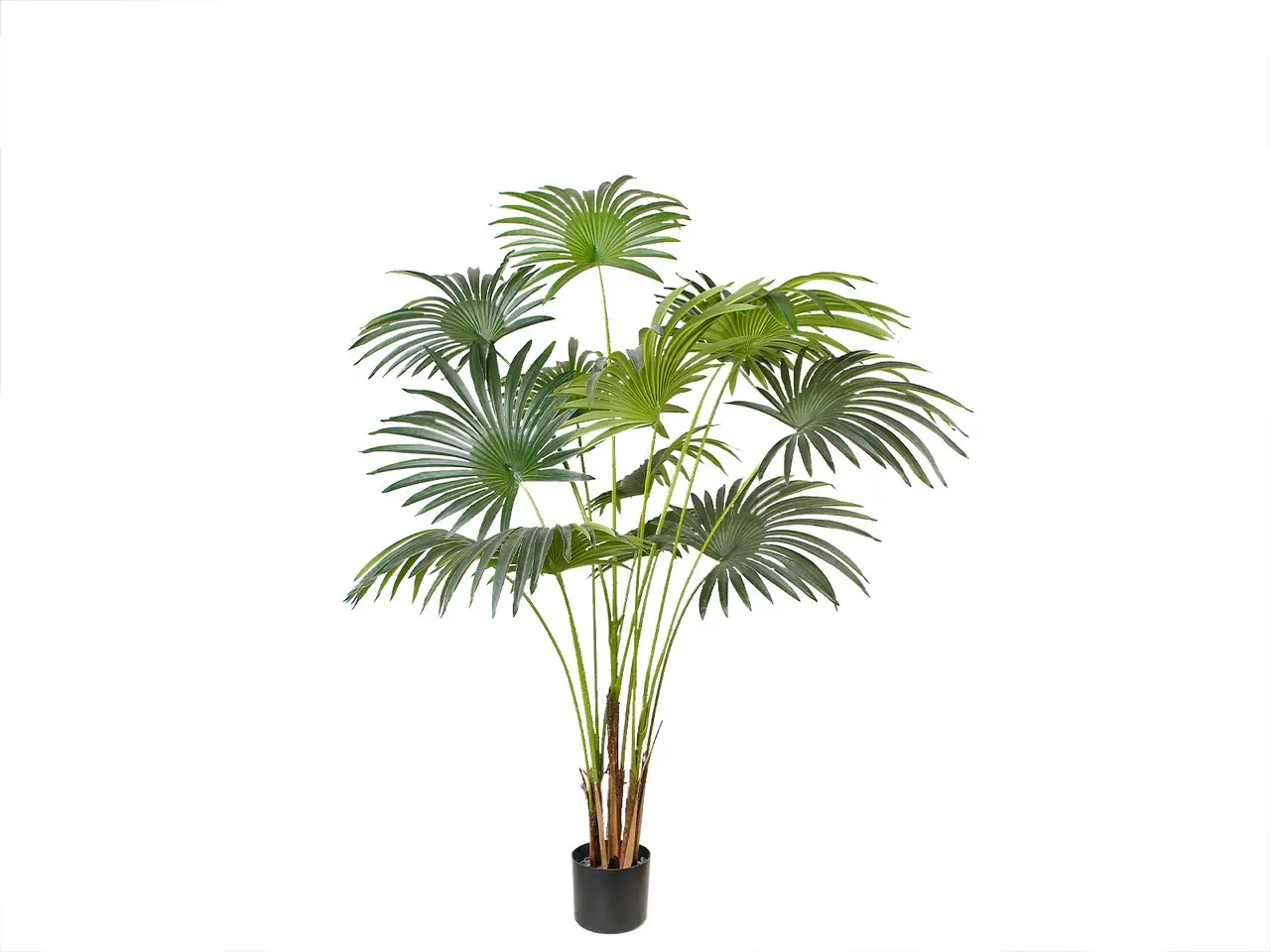 Штучна рослина Fan Palm 150 см DW-28 Штучна рослина Fan Palm 150 см DW-28
