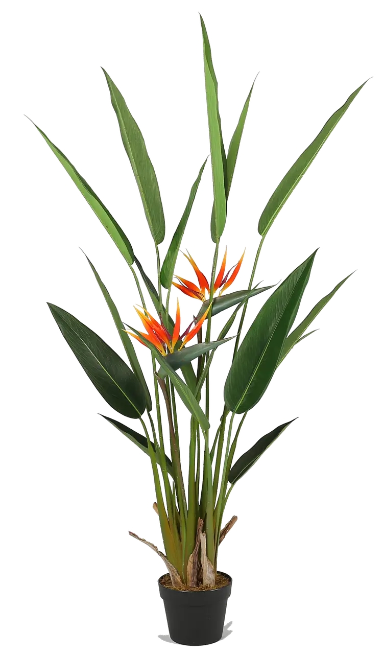 Искусственное растение Strelitzia 140 см Искусственное растение Strelitzia 140 см