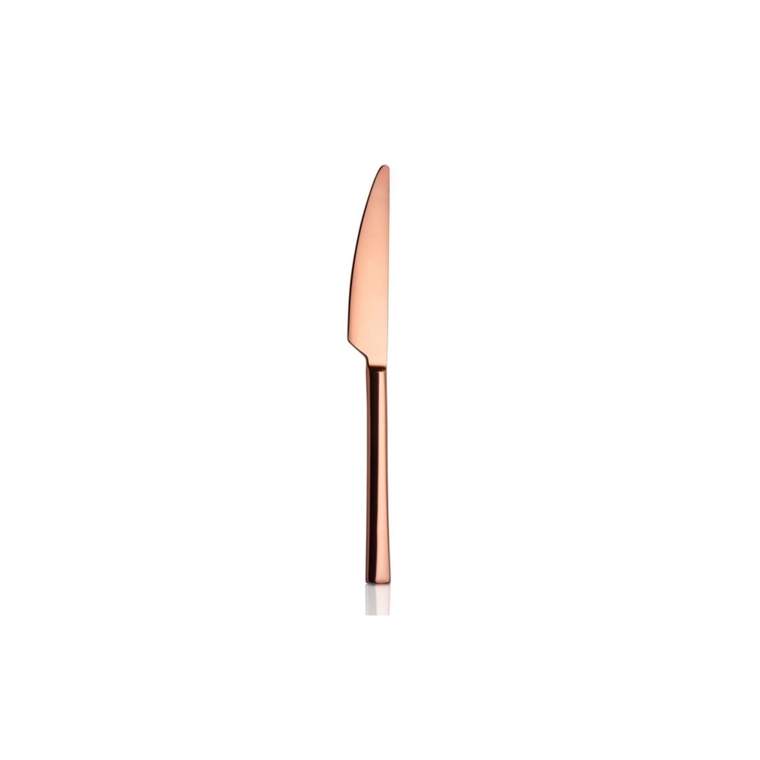 Ніж столовий Bronze Chubuk 3mm 18/10 Ніж столовий Bronze Chubuk 3mm 18/10