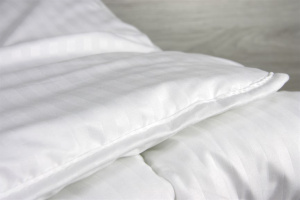 Ковдра LightHouse Swan Лебединий пух Mf Stripe фото 3