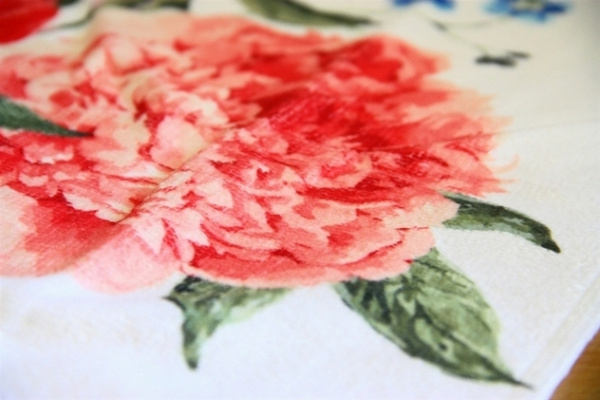 Набір рушників для кухні Hobby Spring V9 40х60 2 шт