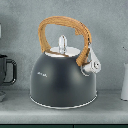 Чайник Kamille 2,5л із нержавіючої сталі зі свистком та ручкою soft touch KM-1096