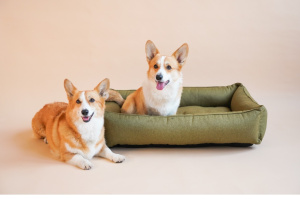 Лежак для собак Sofa Olive фото 2 Лежак для собак Sofa Olive фото 2
