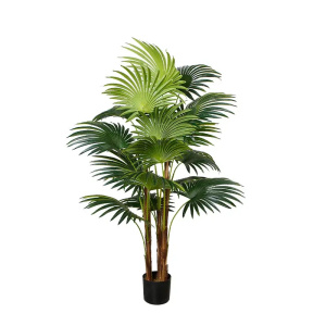 Искусственное растение Cycas Palm 150 см DW-23 фото 1 Искусственное растение Cycas Palm 150 см DW-23 фото 1