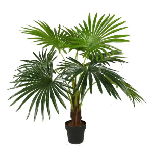 Искусственное растение Fan Palm 120 см фото 1 Искусственное растение Fan Palm 120 см фото 1
