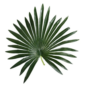 Искусственное растение Fan Palm 120 см фото 2 Искусственное растение Fan Palm 120 см фото 2