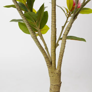 Штучна рослина Magnolia Tree 150 см DW-18 фото 2 Штучна рослина Magnolia Tree 150 см DW-18 фото 2