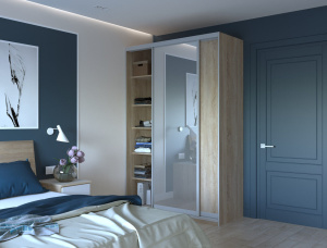 Шкаф купе Сити Лайт  Дуб сонома 1 ДСП/1 Зеркало фото 3