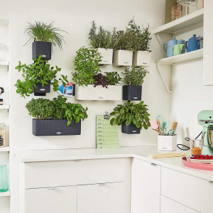 Набір розумних вазонів Lechuza Green Wall Home Kit Color (13398) фото 3 Набір розумних вазонів Lechuza Green Wall Home Kit Color (13398) фото 3