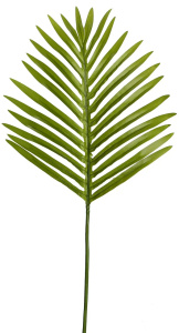 Искусственные листья Hawaii Palm светлые 70 см фото 1 Искусственные листья Hawaii Palm светлые 70 см фото 1